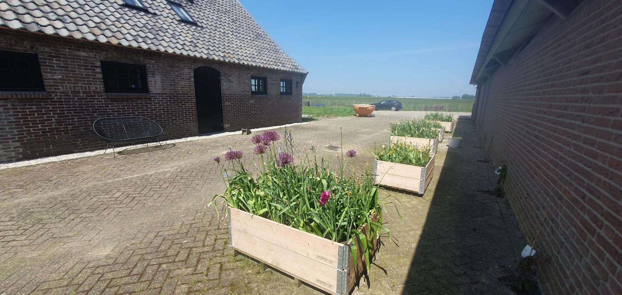 Bed and Breakfast De Wagenloods Alphen aan den Rijn Esterno foto