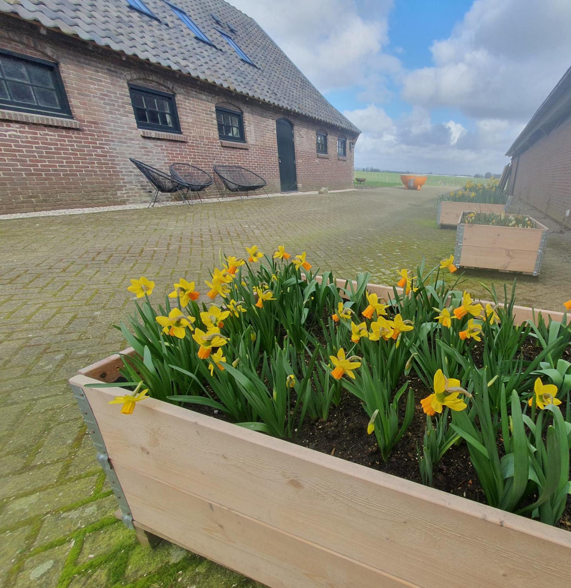 Bed and Breakfast De Wagenloods Alphen aan den Rijn Esterno foto